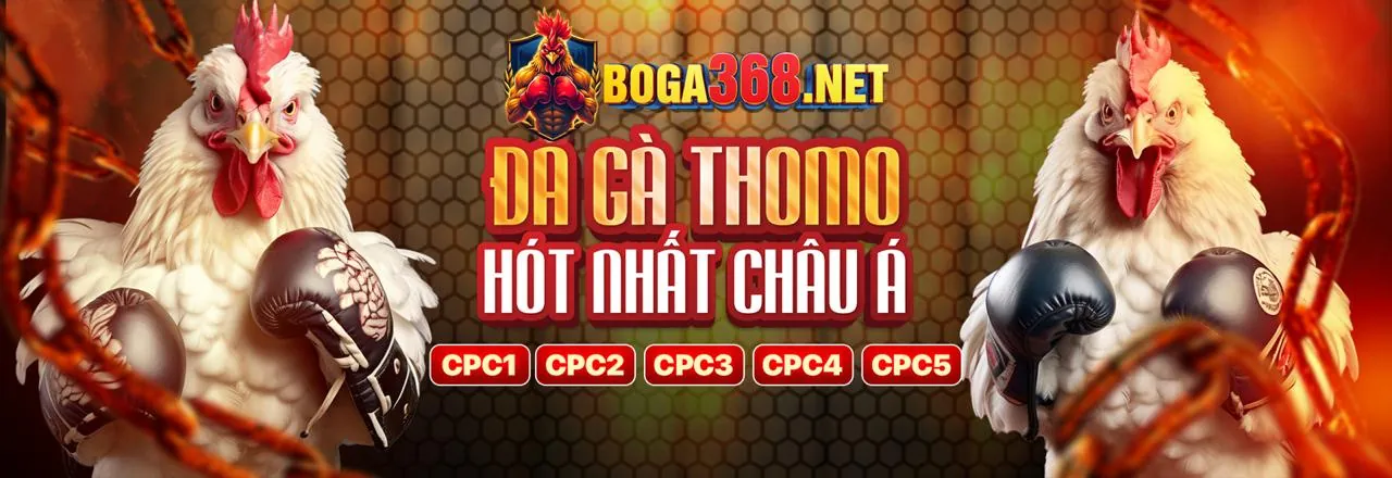 Sảnh Casino Trực Tuyến Raybet với ưu đãi khuyến mãi độc quyền 2026